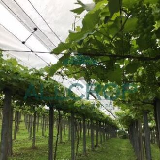 RAFIA LAMINADA 2,80M 180G